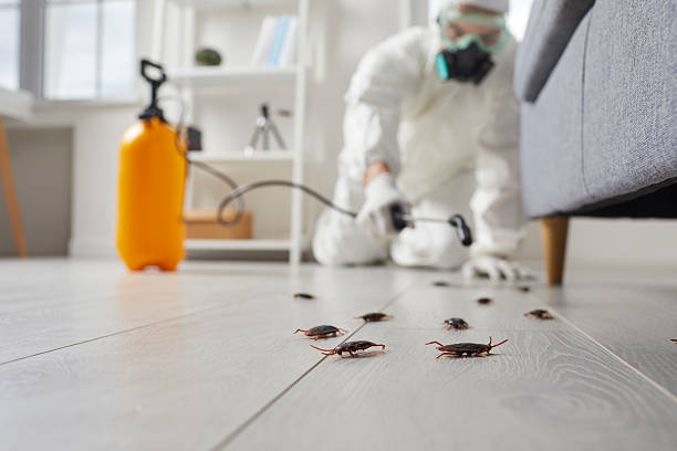 Trusted Cockroach Control service in Brownsville, TN - Nex Pest Control